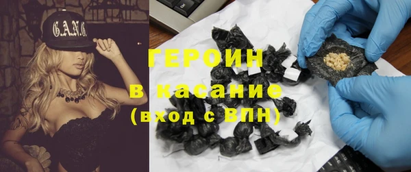 прущие грибы Аркадак