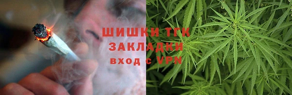 прущие грибы Аркадак