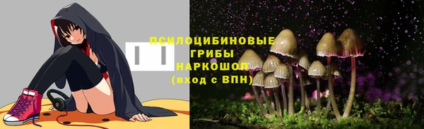 прущие грибы Аркадак