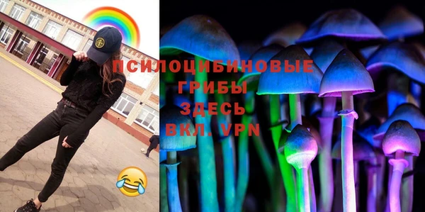прущие грибы Аркадак