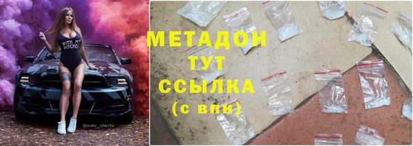 прущие грибы Аркадак